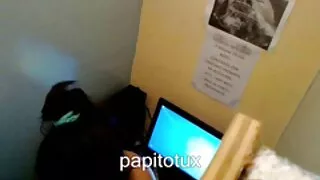 Bubble Butt Chick grossessalopes fait une belle pipe à son petit ami