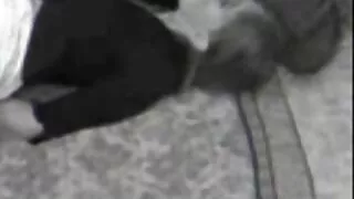 Une merveilleuse brune amateur prend un bain et fait une solide grosses salopes africaines pipe à la fois