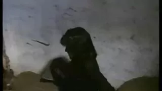 Un vieux pet pervers se fait adorer sa bite gonflée grosses salopes en chaleur dans les escaliers